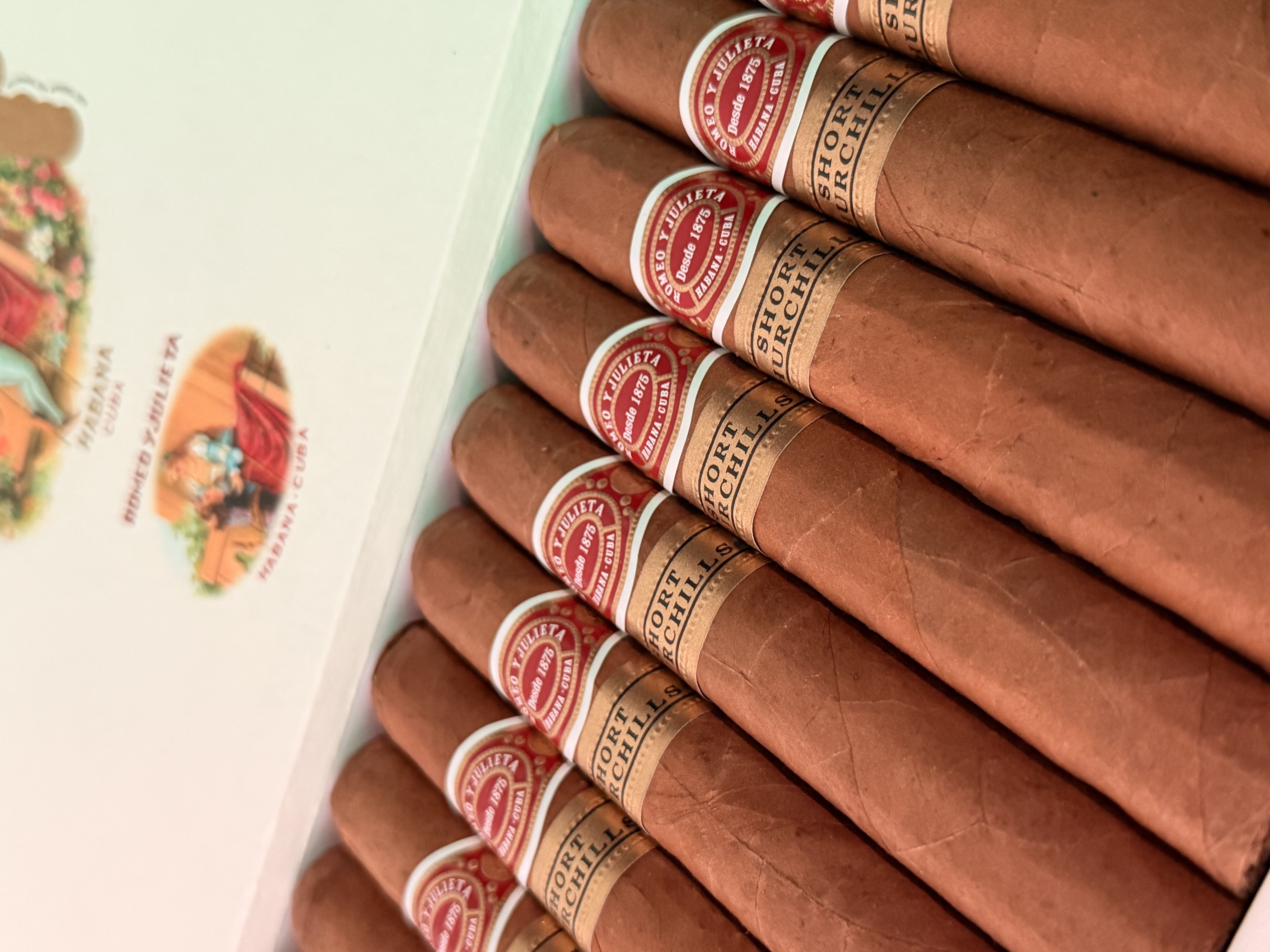Romeo y Julieta Short Churchills