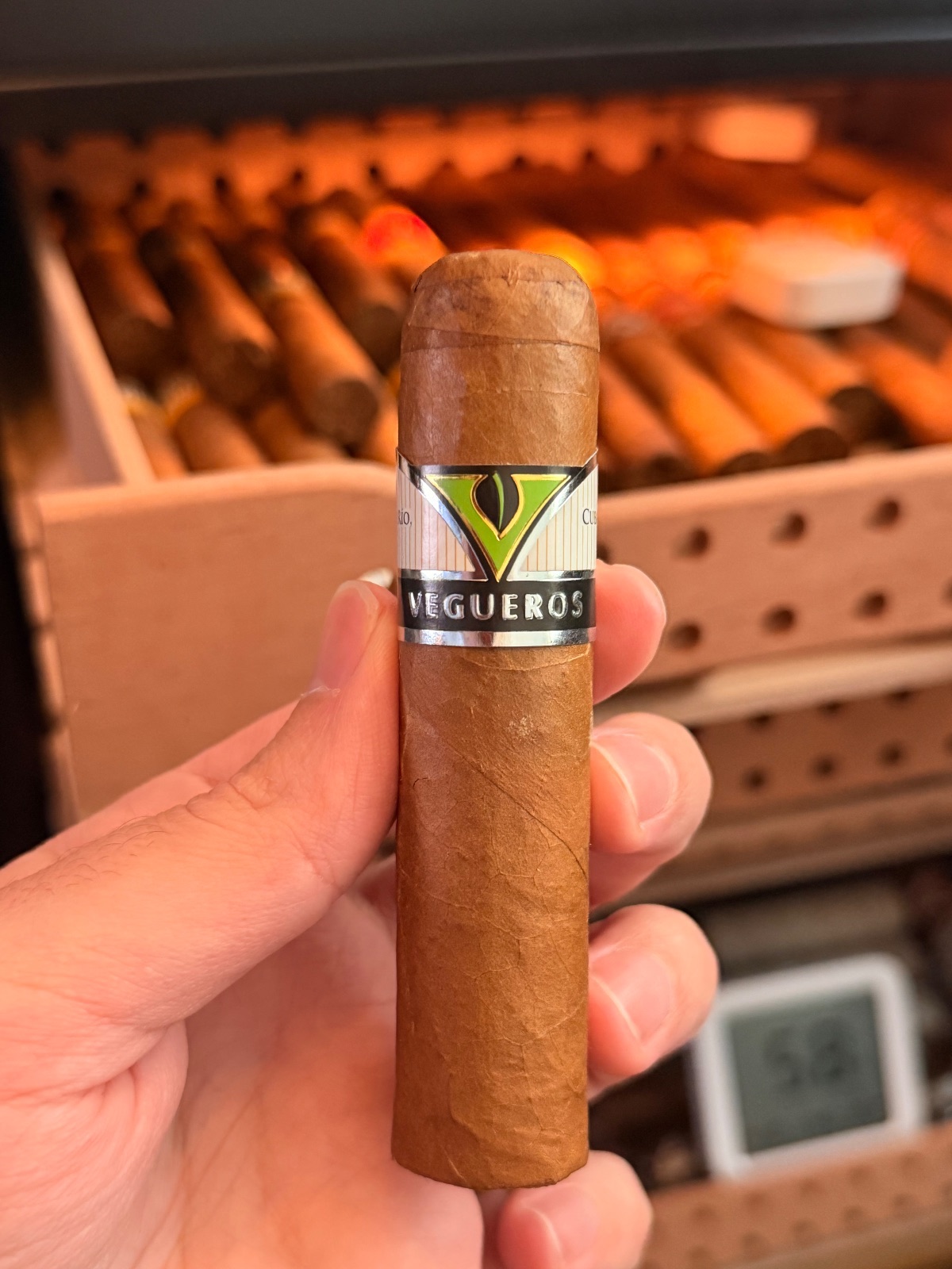 Vegueros Entretiempos